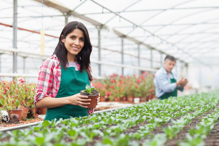 4 ways a garden centre will grow with point of sale software