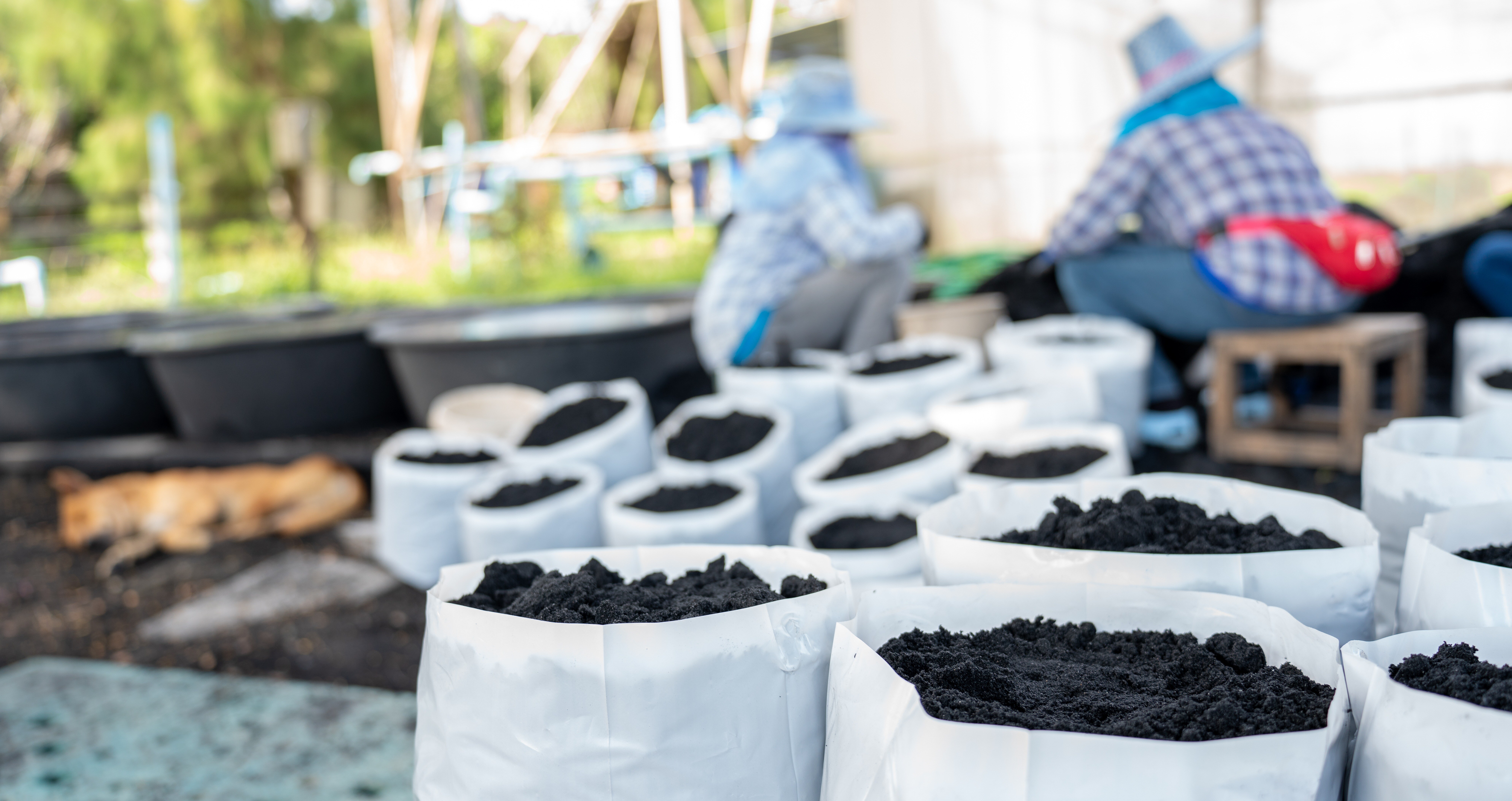 Effortless Bulk Management & Units of Measure for Garden Centers